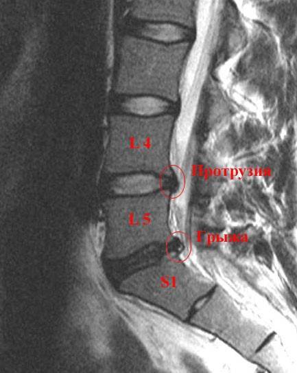 d502c6aea824df218dfc4792d257cc49