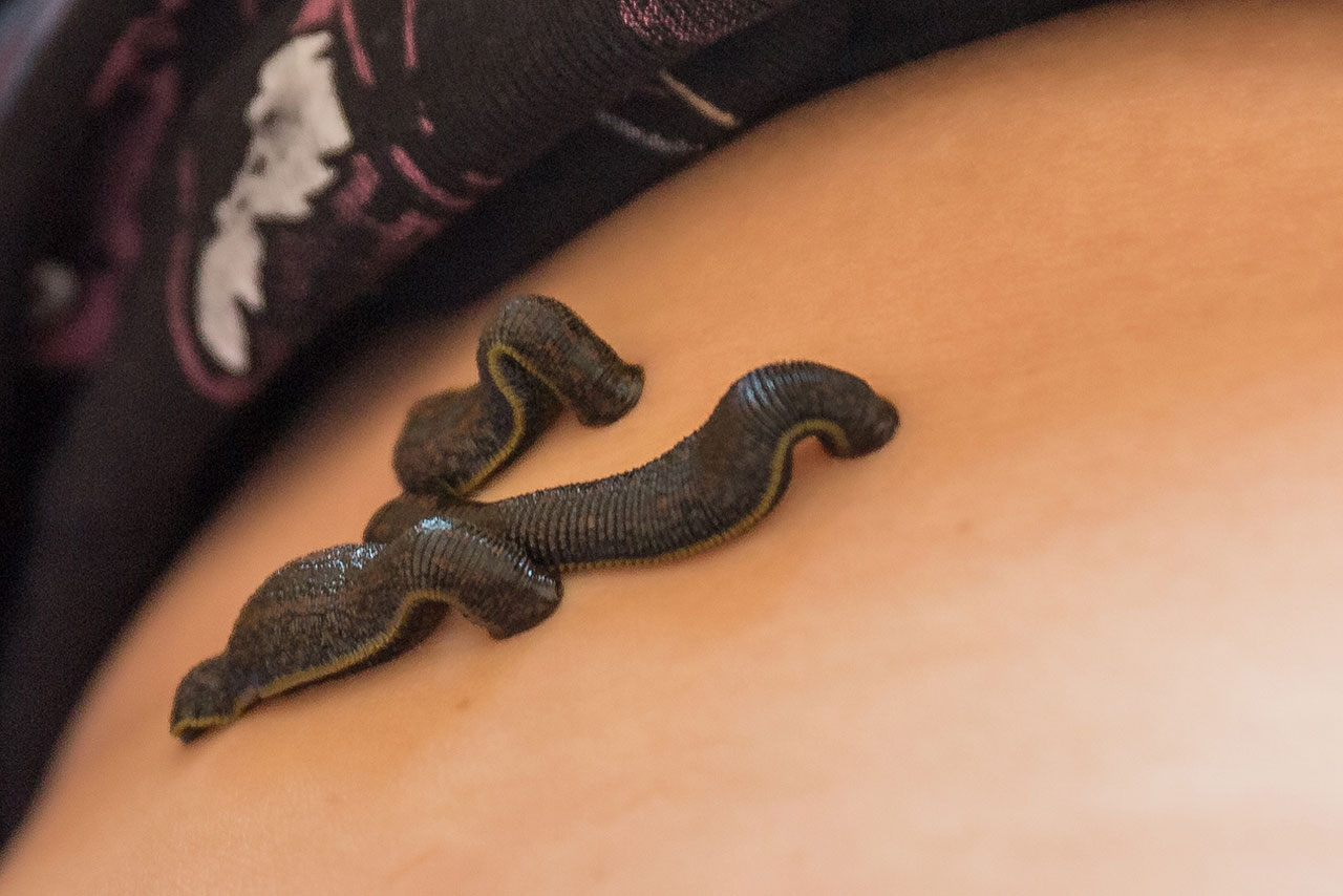 8bab7d57f33b90a273c08636d1fd5bd1