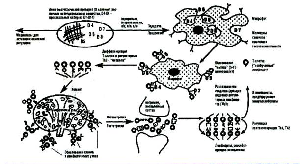 antihomotoxicologia clip image002