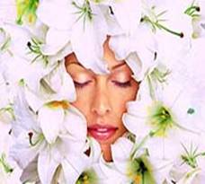 aromaterapia clip image002